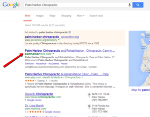Palm Harbor Chiropractic Search Engine Optimziation